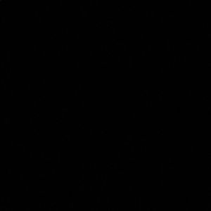 Meet your Posher, Brendan